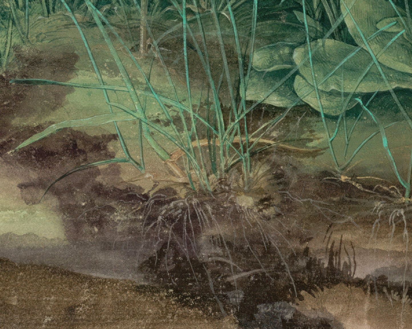 Albrecht Dürer "The Great Piece of Turf" (c.1503) - Mabon Gallery