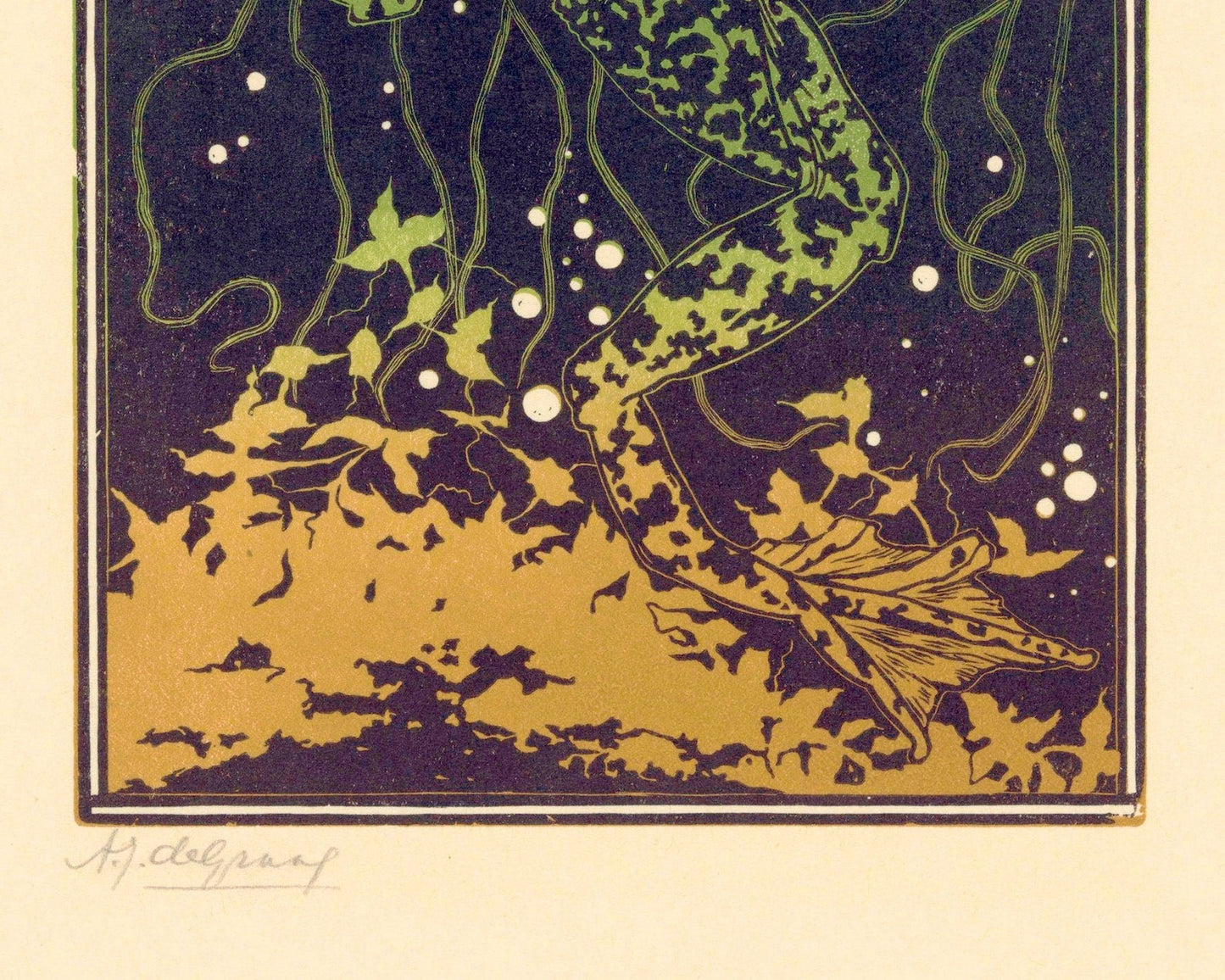 Julia de Graag "Zwemmende Kikker / Swimming Frog" (c.1910 - 1925) - Mabon Gallery