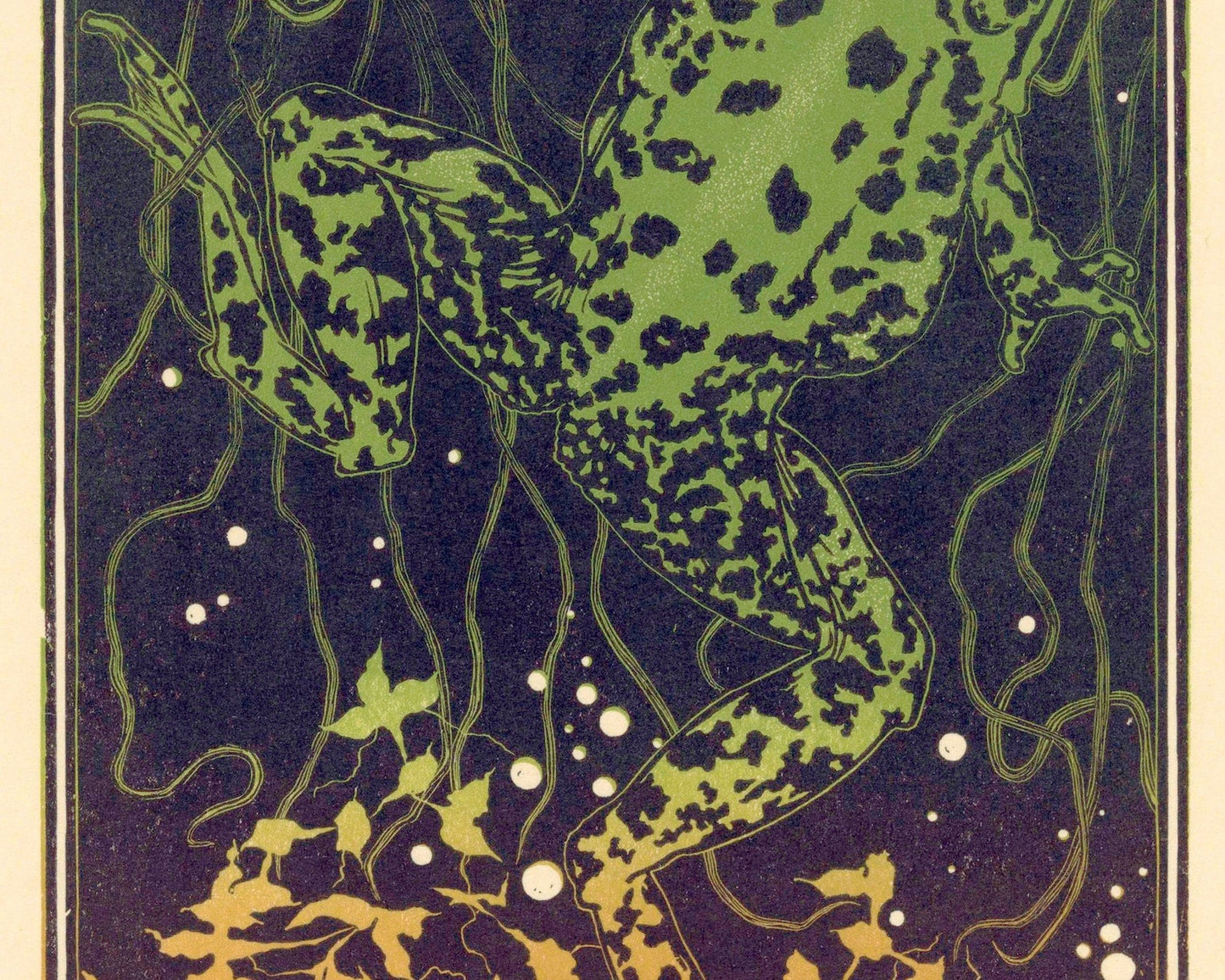 Julia de Graag "Zwemmende Kikker / Swimming Frog" (c.1910 - 1925) - Mabon Gallery