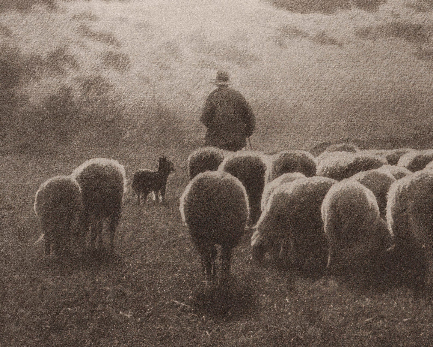 Léonard Misonne "Au Coucher du Soleil (At Sunset)" (c.1900) - Mabon Gallery