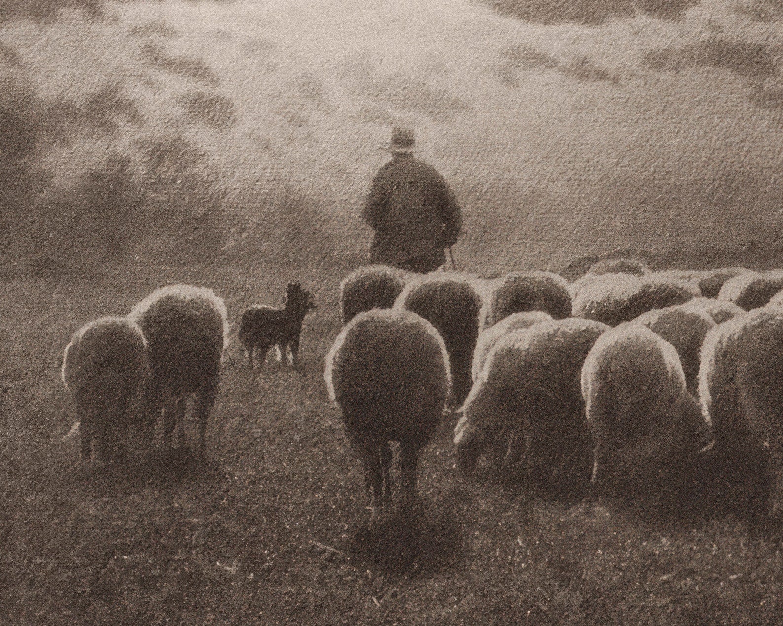 Léonard Misonne "Au Coucher du Soleil (At Sunset)" (c.1900) - Mabon Gallery