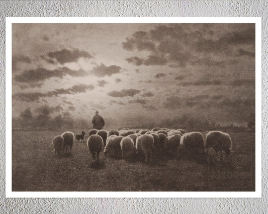 Léonard Misonne "Au Coucher du Soleil (At Sunset)" (c.1900) - Mabon Gallery
