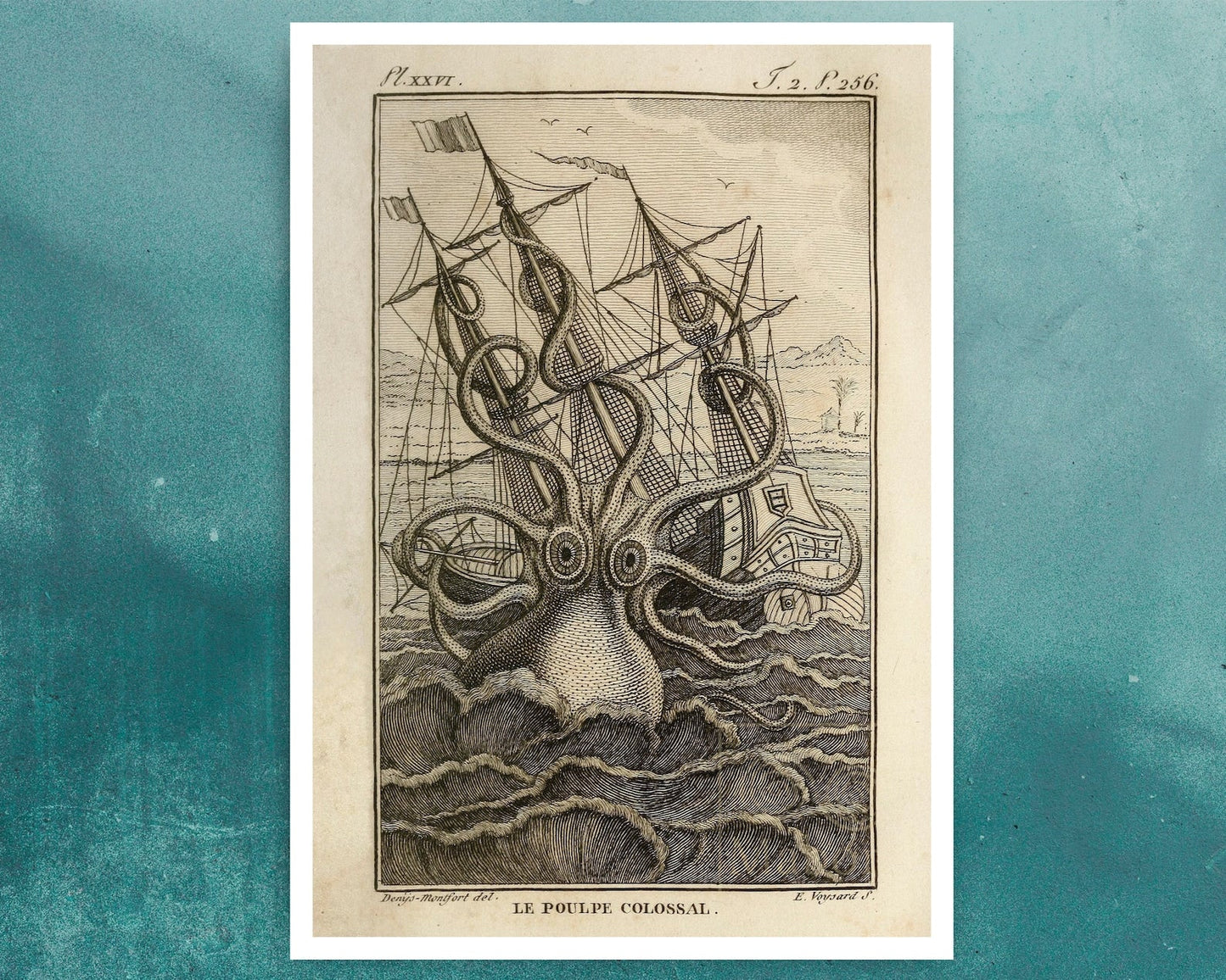 Vintage Book Illustration "Le Poulp Colossal" (c.1802) - Mabon Gallery