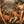 Cornelis van Haarlem 