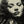 A L “Whitey” Schafer “Janet Blair” (c.1941) – Vintage Photo Portrait - Mabon Gallery