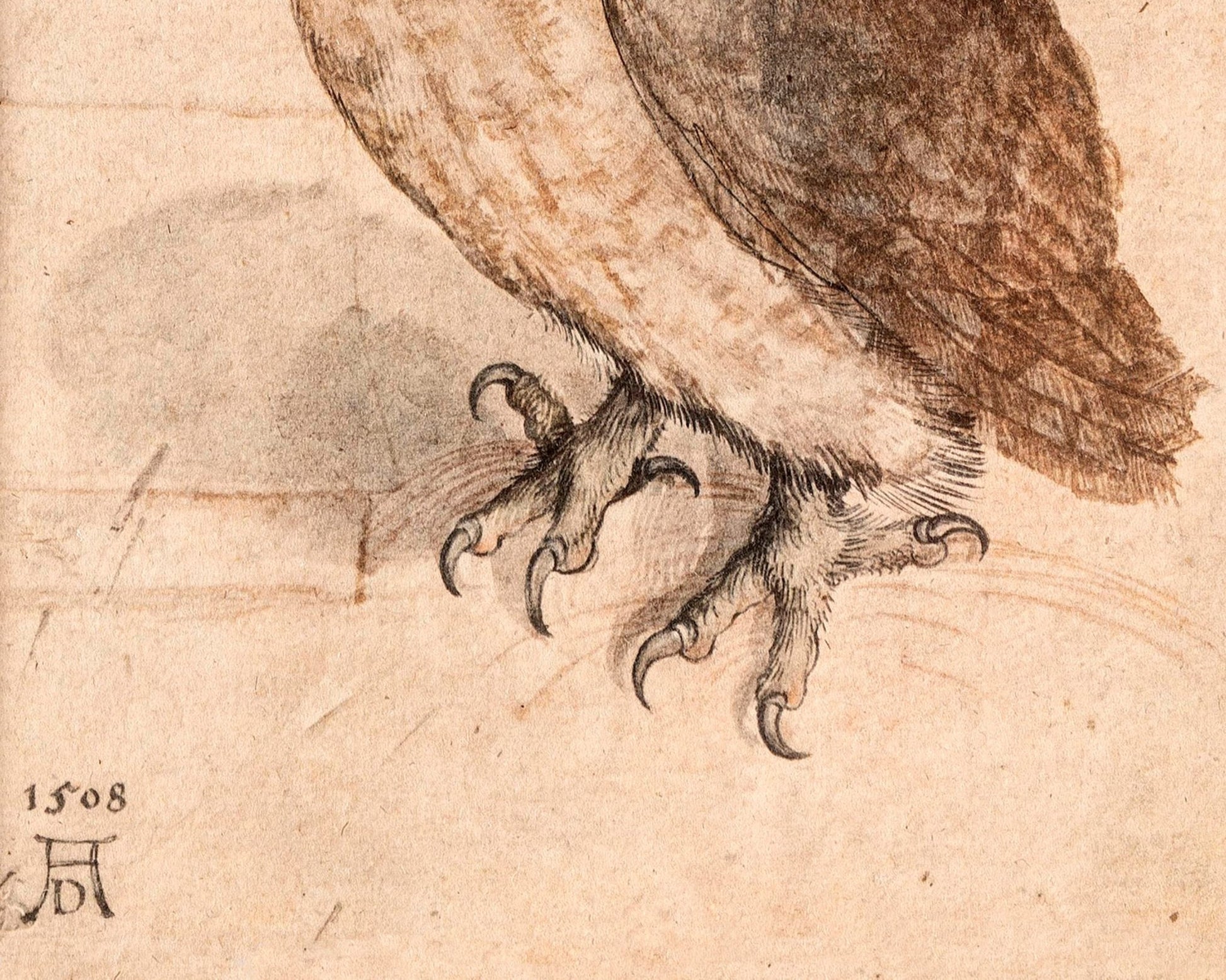 Albrecht Dürer - "Little Owl" (c.1508) - Mabon Gallery