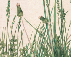 Albrecht Dürer "The Great Piece of Turf" (c.1503) - Mabon Gallery