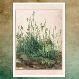 Albrecht Dürer "The Great Piece of Turf" (c.1503) - Mabon Gallery