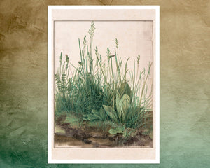 Albrecht Dürer "The Great Piece of Turf" (c.1503) - Mabon Gallery