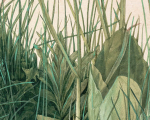 Albrecht Dürer "The Great Piece of Turf" (c.1503) - Mabon Gallery