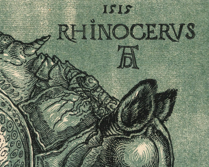 Albrecht Dürer "The Rhinoceros" (c.1515) - Mabon Gallery