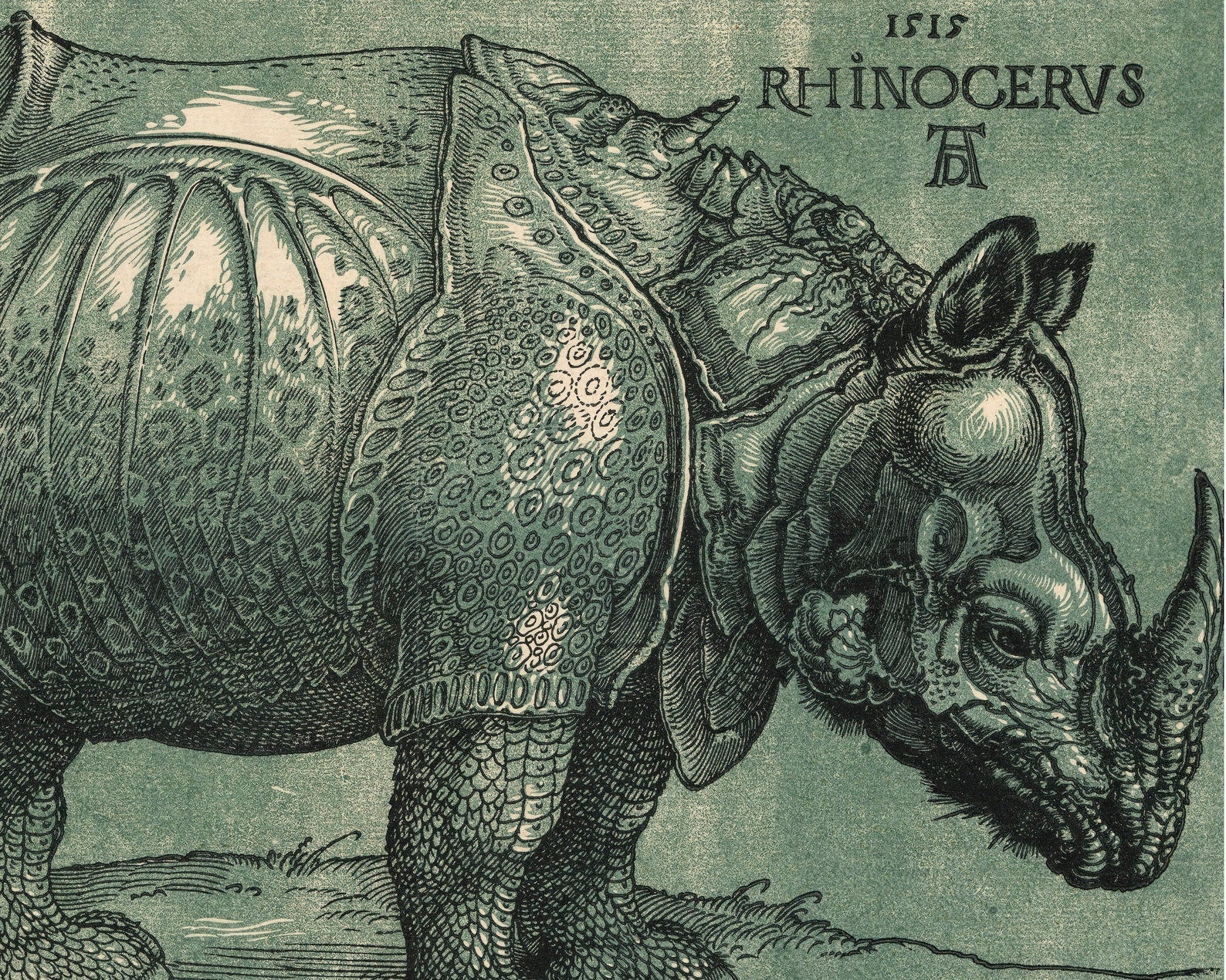Albrecht Dürer "The Rhinoceros" (c.1515) - Mabon Gallery