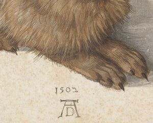 Albrecht Dürer "The Young Hare" (c.1509) - Mabon Gallery