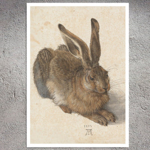 Albrecht Dürer "The Young Hare" (c.1509) - Mabon Gallery