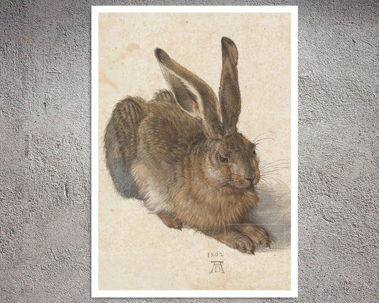 Albrecht Dürer "The Young Hare" (c.1509) - Mabon Gallery