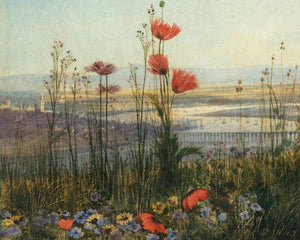 Andrew Nicholls "A Distant View of Derry Through a Bank of Wild Flowers” (c.1830) - Mabon Gallery
