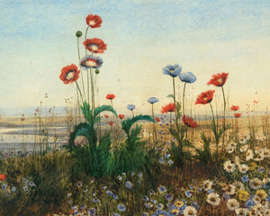 Andrew Nicholls "A Distant View of Derry Through a Bank of Wild Flowers” (c.1830) - Mabon Gallery