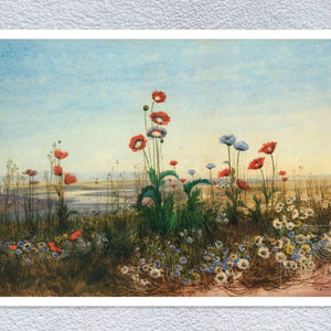 Andrew Nicholls "A Distant View of Derry Through a Bank of Wild Flowers” (c.1830) - Mabon Gallery