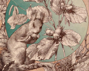 Anton Seder "Squirrel, Oak & Hazel" (c.1887) Vintage Book Illustration - Mabon Gallery