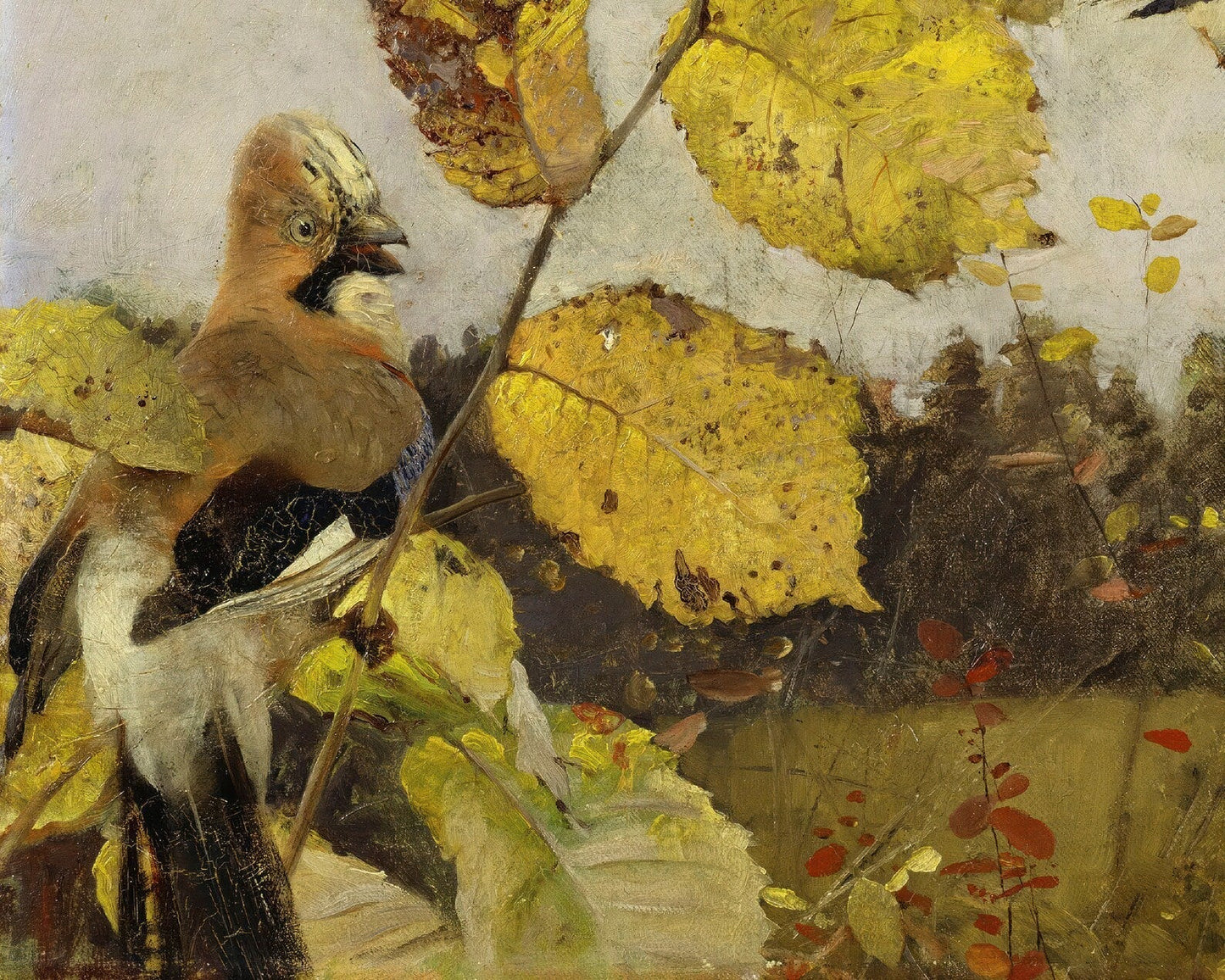 Bruno Andreas Liljefors "Jays" (c.1886) - Mabon Gallery