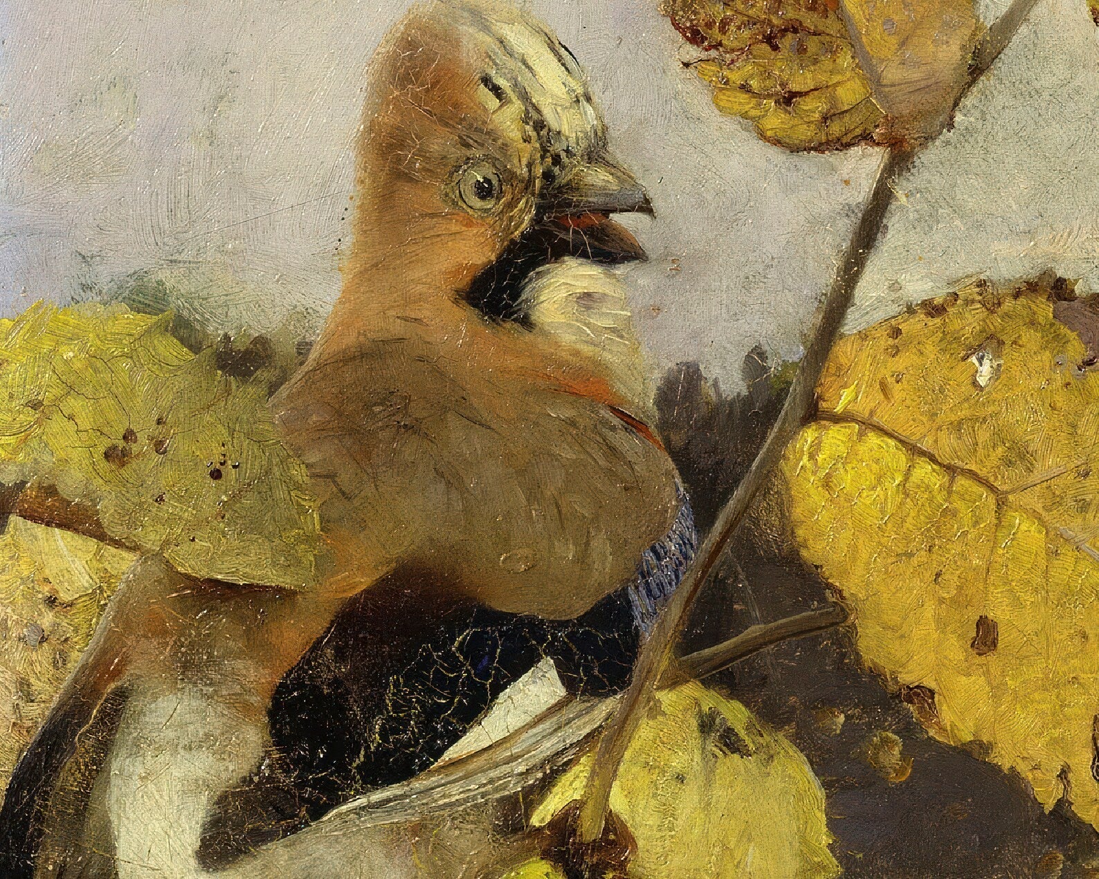 Bruno Andreas Liljefors "Jays" (c.1886) - Mabon Gallery