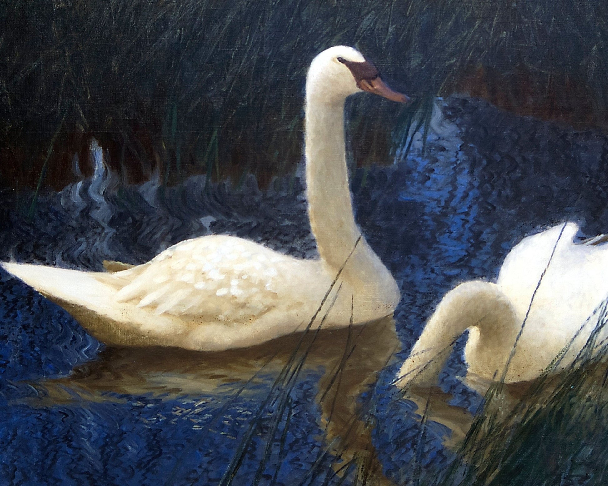 Bruno Andreas Liljefors "Swans in Reeds" (c.1907) - Mabon Gallery