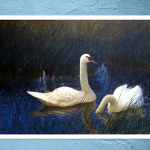 Bruno Andreas Liljefors "Swans in Reeds" (c.1907) - Mabon Gallery
