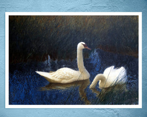 Bruno Andreas Liljefors "Swans in Reeds" (c.1907) - Mabon Gallery