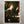 Dante Gabriel Rossetti 