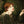 Dante Gabriel Rossetti 