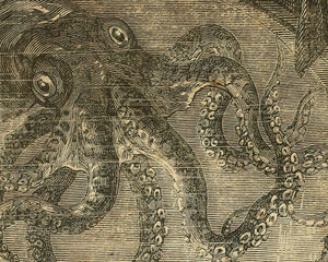 Édouard Riou "The Giant Squid" (c.1871) Twenty Thousand Leagues Under the Seas (Jules Verne) - Mabon Gallery