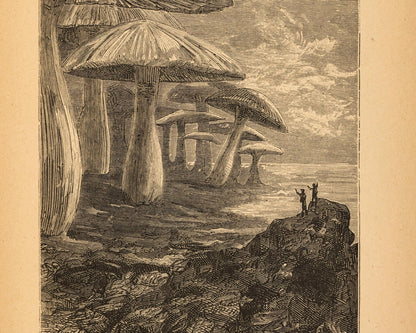 Édouard Riou "The Mushroom Forest" (c.1864) from "A Journey to the Centre of the Earth" Jules Verne - Mabon Gallery