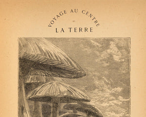 Édouard Riou "The Mushroom Forest" (c.1864) from "A Journey to the Centre of the Earth" Jules Verne - Mabon Gallery