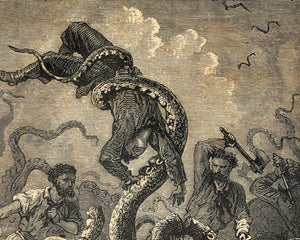 Édouard Riou "The Squid and His Victim" from Twenty Thousand Leagues Under the Seas (Jules Verne) - Mabon Gallery