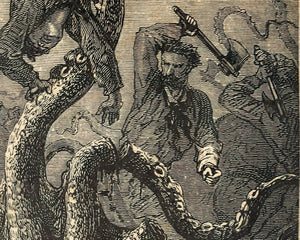 Édouard Riou "The Squid and His Victim" from Twenty Thousand Leagues Under the Seas (Jules Verne) - Mabon Gallery