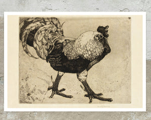 Edward Julius Detmold "Etching of a Cockerill" (c.1900) - Mabon Gallery