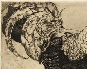 Edward Julius Detmold "Etching of a Cockerill" (c.1900) - Mabon Gallery
