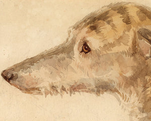 Edwin Henry Landseer "Irish Wolfhound" - Mabon Gallery