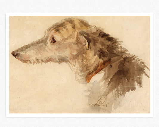 Edwin Henry Landseer "Irish Wolfhound" - Mabon Gallery