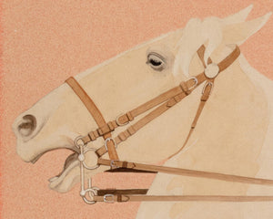 George Valentine Sandberg "The Equestrian" (c.1912) Judge Magazine Cover Illustration - Mabon Gallery