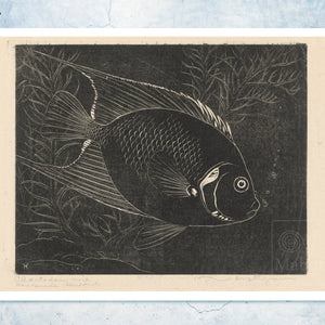 Henri Verstijnen "Chaetodon Fish" (c.1892 - c.1940) - Mabon Gallery