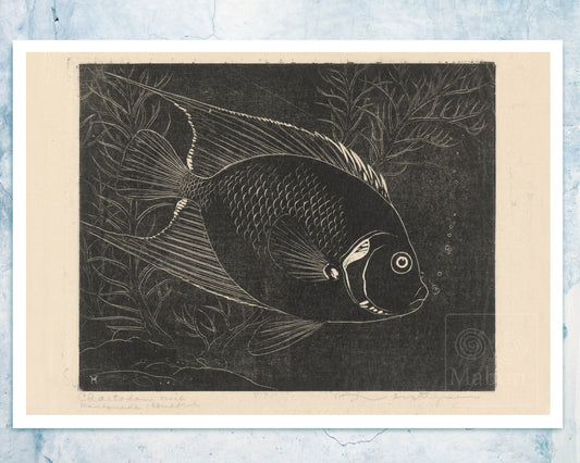 Henri Verstijnen "Chaetodon Fish" (c.1892 - c.1940) - Mabon Gallery