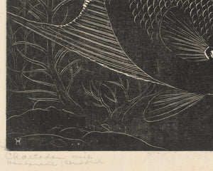 Henri Verstijnen "Chaetodon Fish" (c.1892 - c.1940) - Mabon Gallery