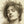 Herbert James Draper 