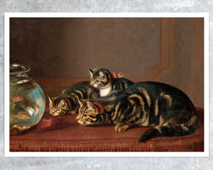 Horatio Henry Couldery "Cats by a Fishbowl" (c.1860) - Mabon Gallery