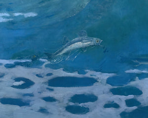 Howard Pyle "The Mermaid" (c.1910) - Mabon Gallery