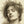 Herbert James Draper 