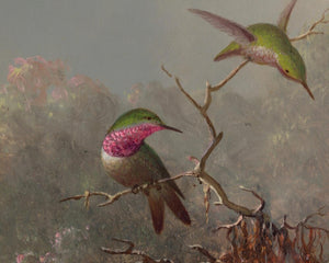 Martin Johnson Heade "Cattleya Orchid and Three Hummingbirds" (c.1871)
