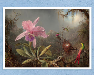 Martin Johnson Heade "Cattleya Orchid and Three Hummingbirds" (c.1871)