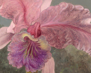 Martin Johnson Heade "Cattleya Orchid and Three Hummingbirds" (c.1871)